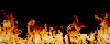 flame.gif (28560 byte)